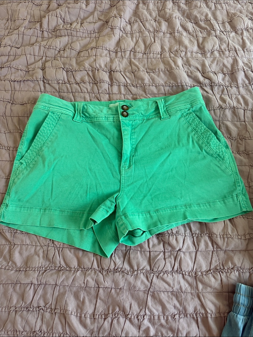 BKE Mint Green Casual Bermuda Shorts